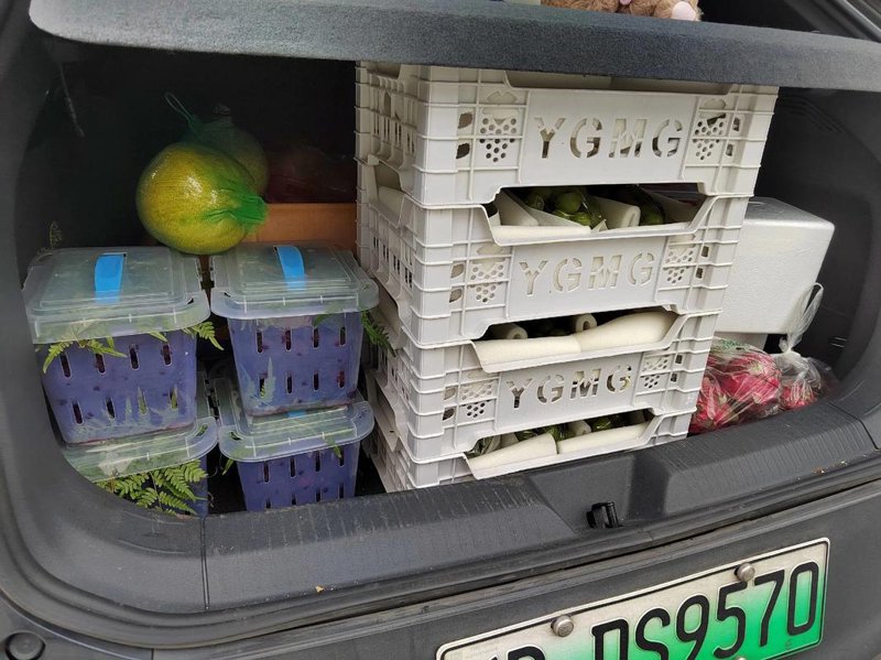 寻找身边的美味:岳阳街道水果店选购指南